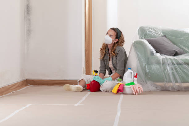 Reliable Crawl Space Mold Removal contractor in New Market, TN by WQB Mold Removal