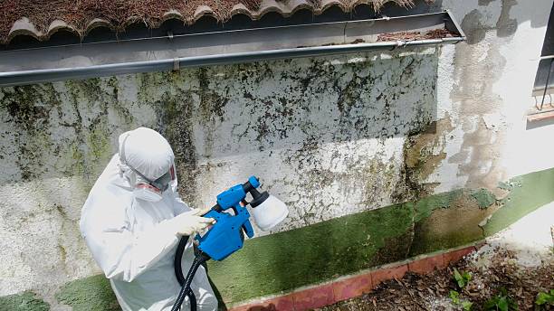 Top rated local Crawl Space Mold Removal specialists in New Market, TN